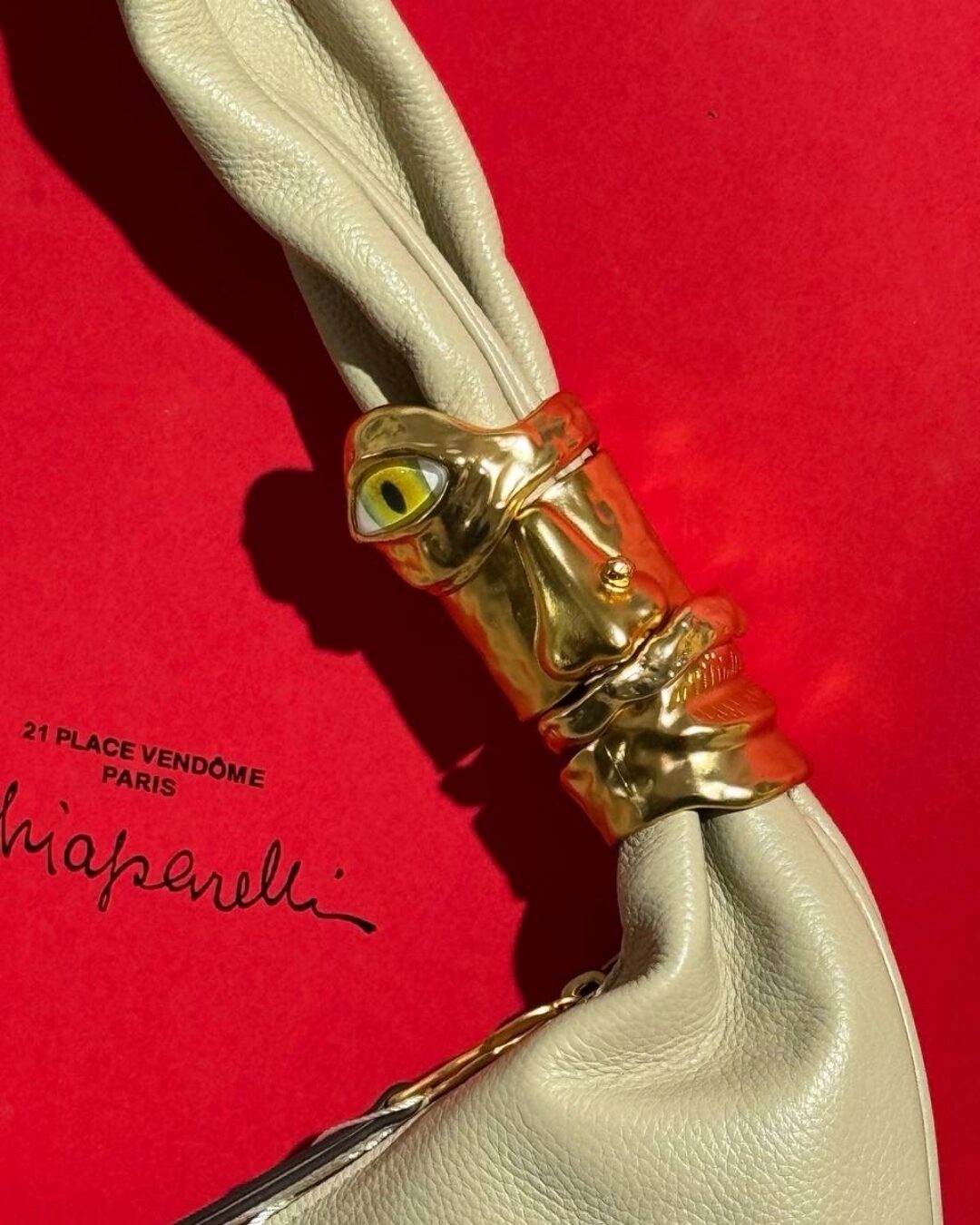 Сумка Schiaparelli