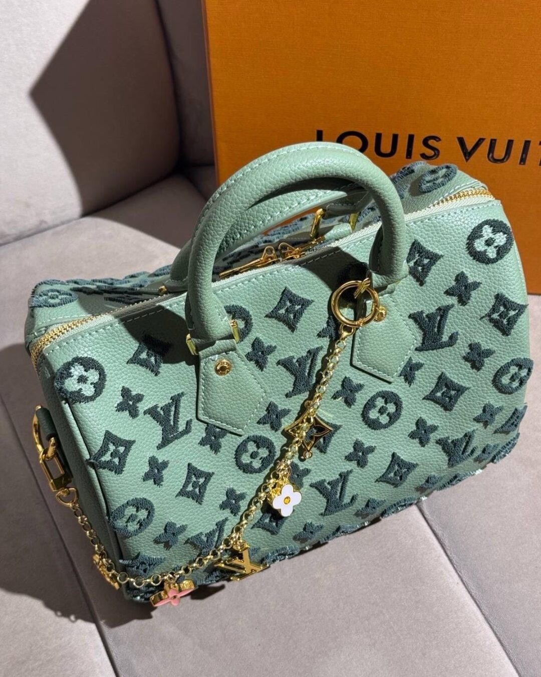 Сумка Louis Vuitton