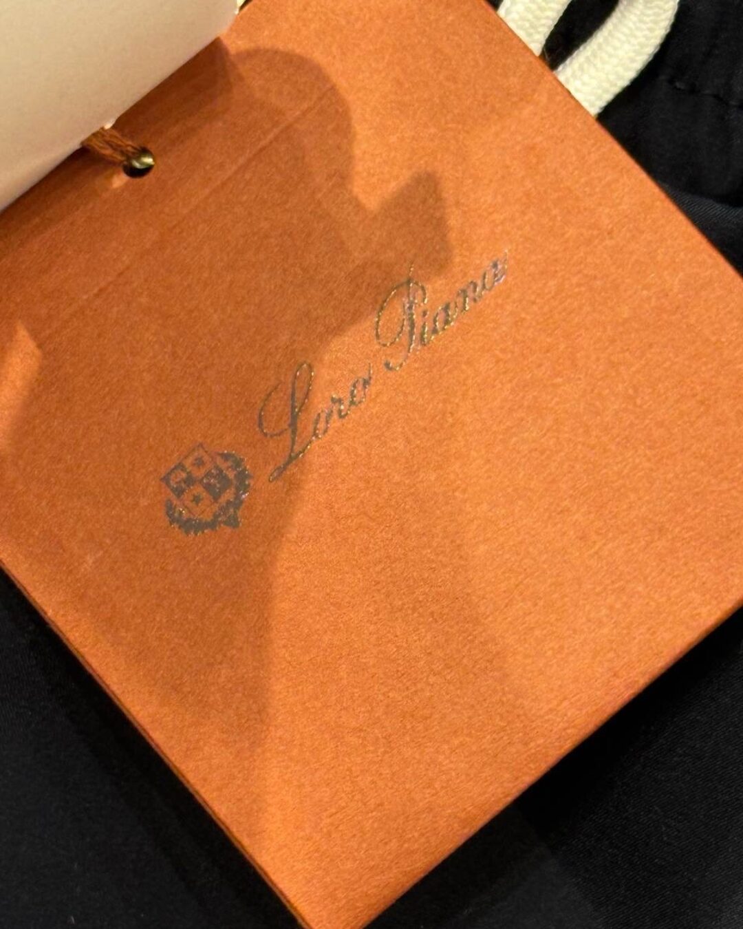 Плавательные шорты Loro Piana