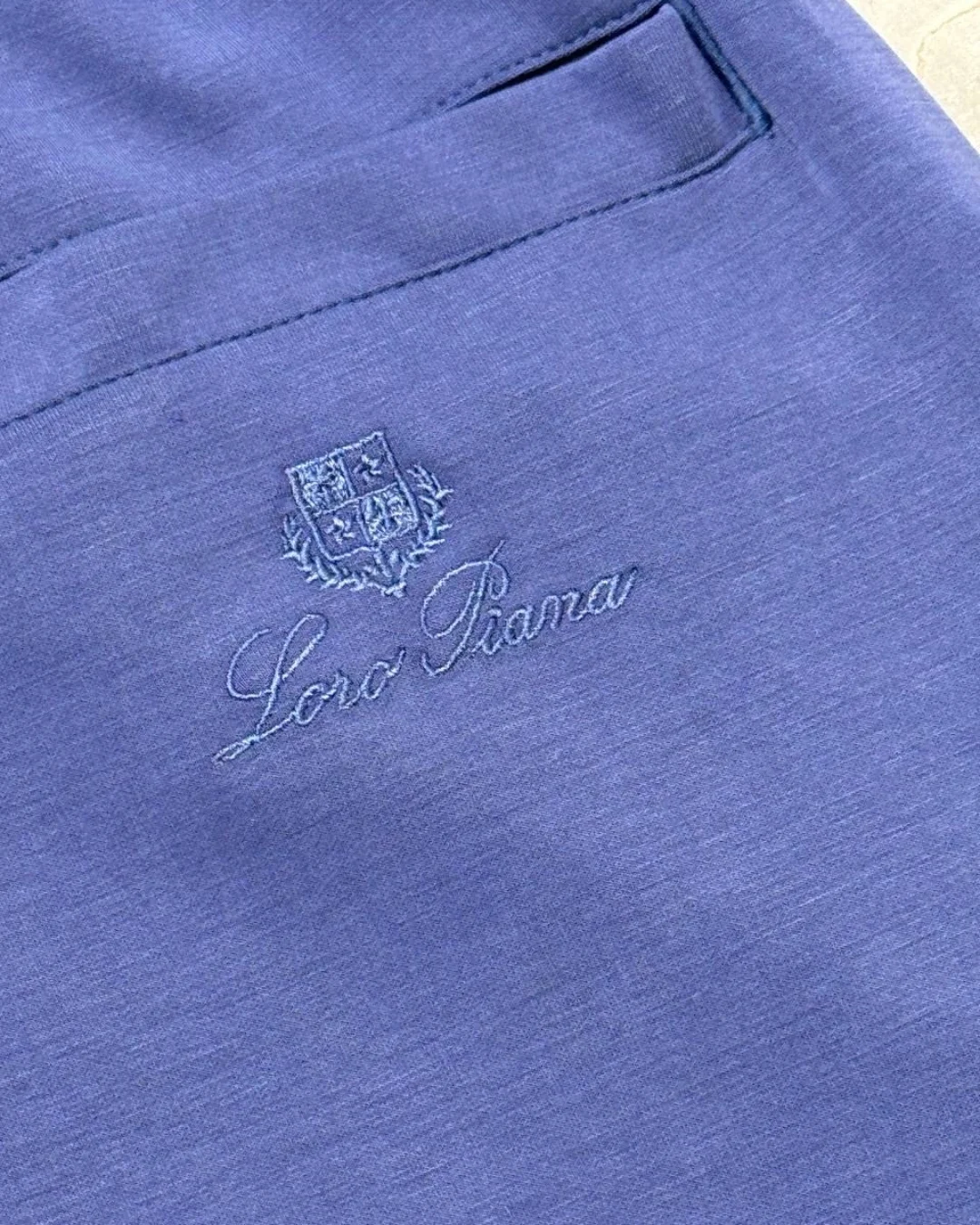 Спортивные Штаны Loro Piana — фото 9