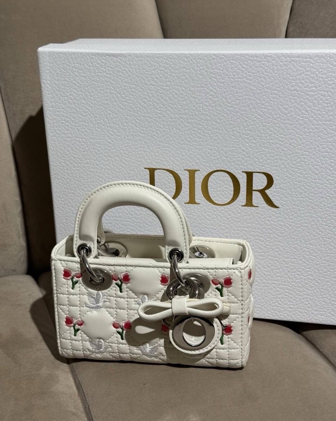Сумка Dior Lady D-Joy
