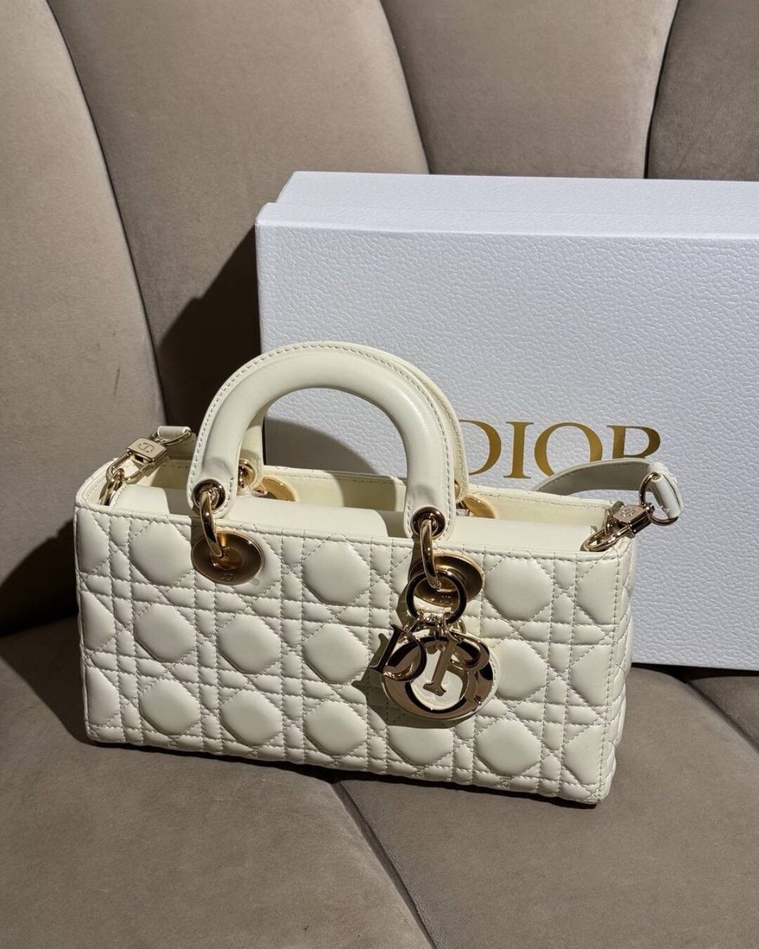 Сумка Dior Lady D-Joy