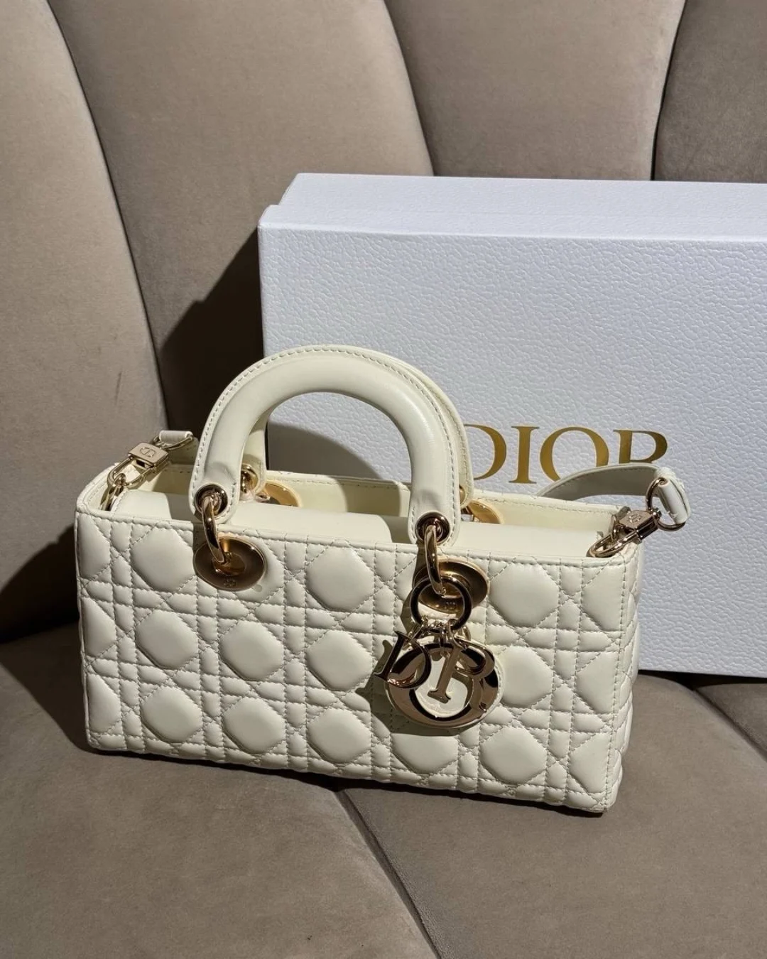 Сумка Dior Lady D-Joy