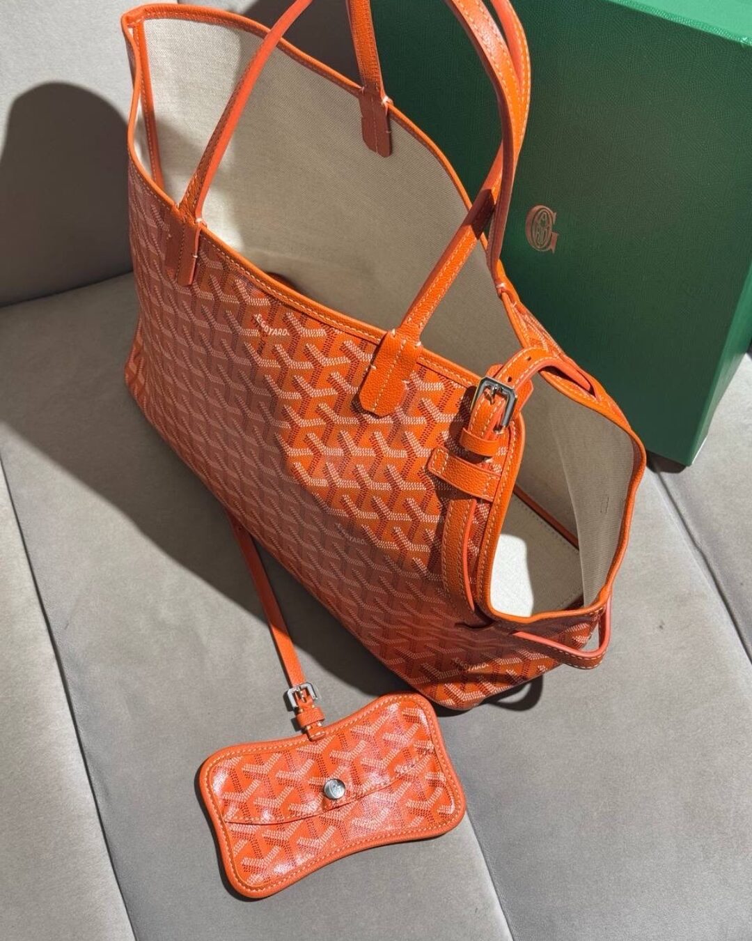 Сумка Goyard Chien Gris Pre-owned