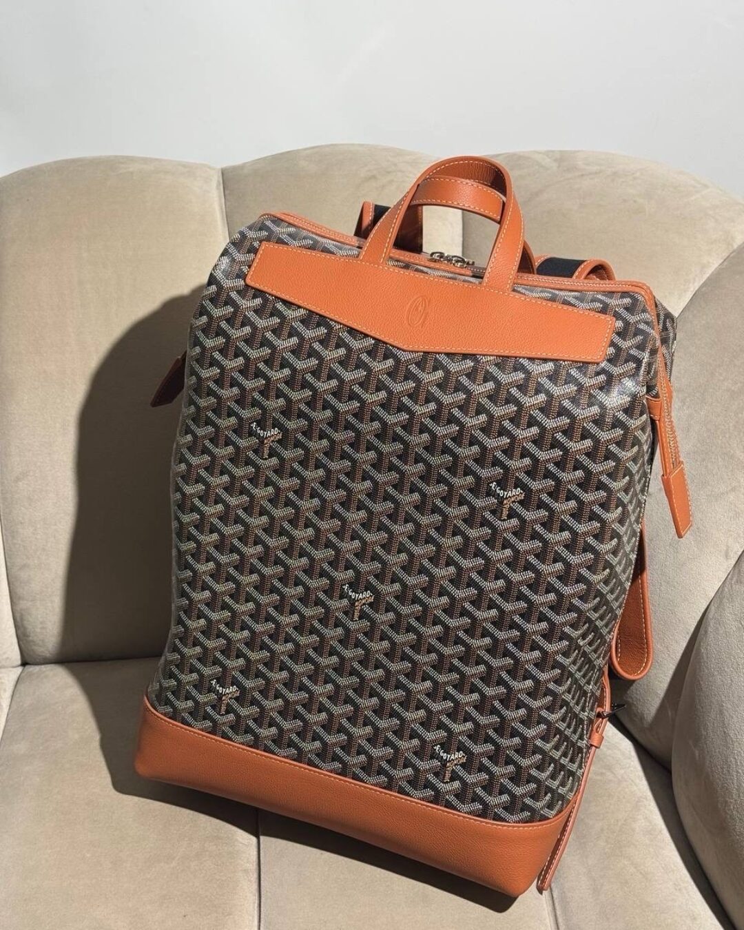 Рюкзак Goyard Cisalpin