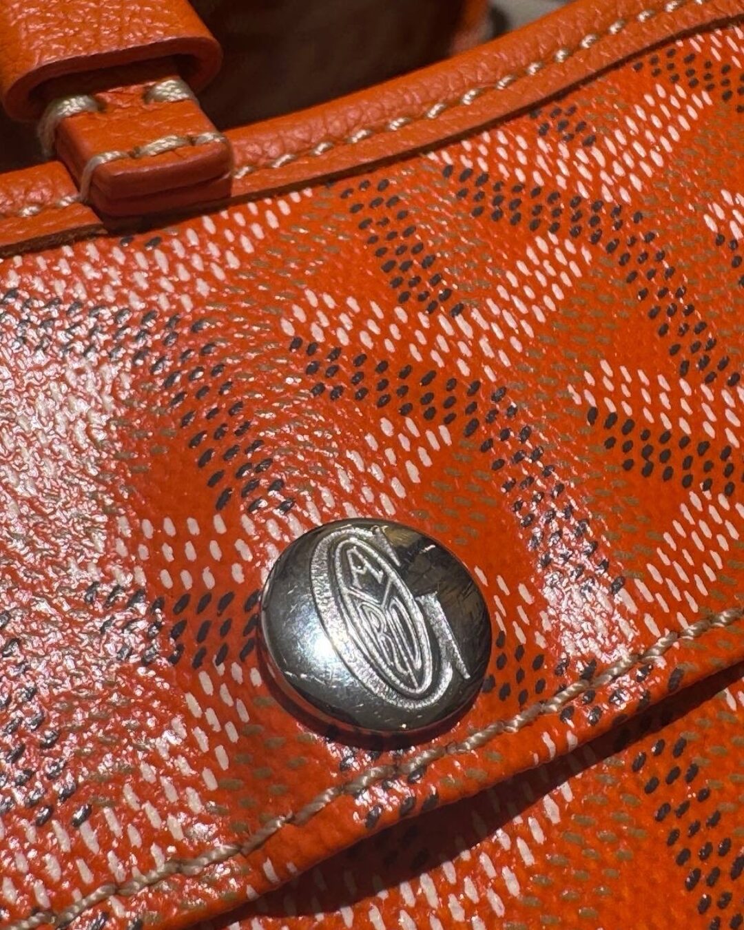 Сумка Goyard Chien Gris Pre-owned — фото 6