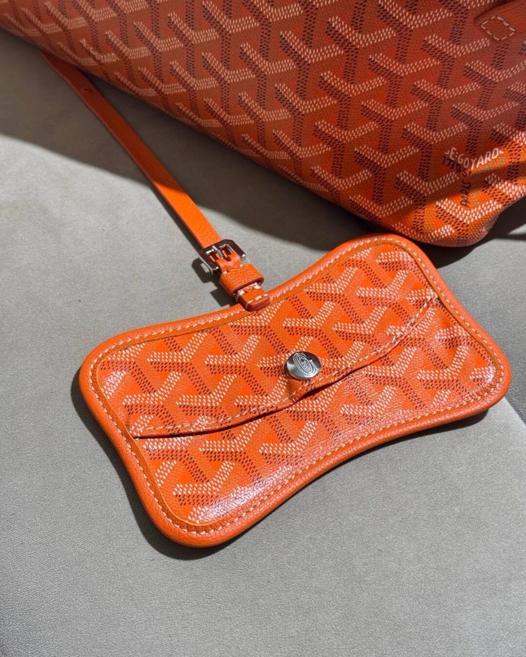 Сумка Goyard Chien Gris Pre-owned — фото 5